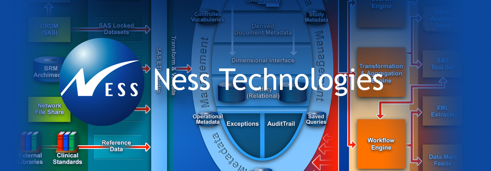 Ness Technologies Portfolio